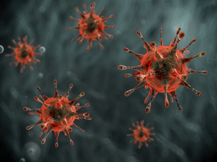 The Top 5 Foods To Help You Fight Coronavirus